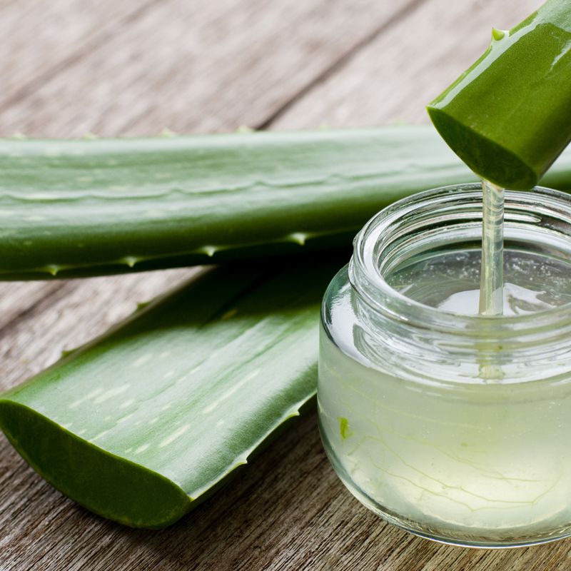 Aloe Vera Reiki - Ekaterina Fedosova - HANDBUCH IN DEUTSCHER SPRACHE