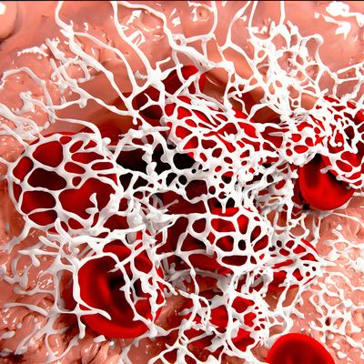 Blutgerinnungs - Harmonisierungs - Reiki - Silvia Opali Dentler - HANDBUCH IN DEUTSCHER SPRACHE