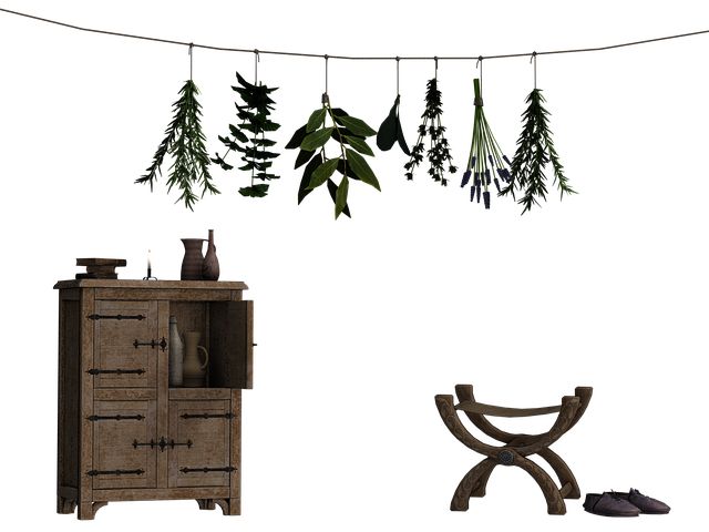 Pflanzendevas-Lichtregen - Stoffwechselharmonisierung - Kräuter-Lichtregen  - Silvia Opali Dentler - HANDBUCH IN DEUTSCHER SPRACHE