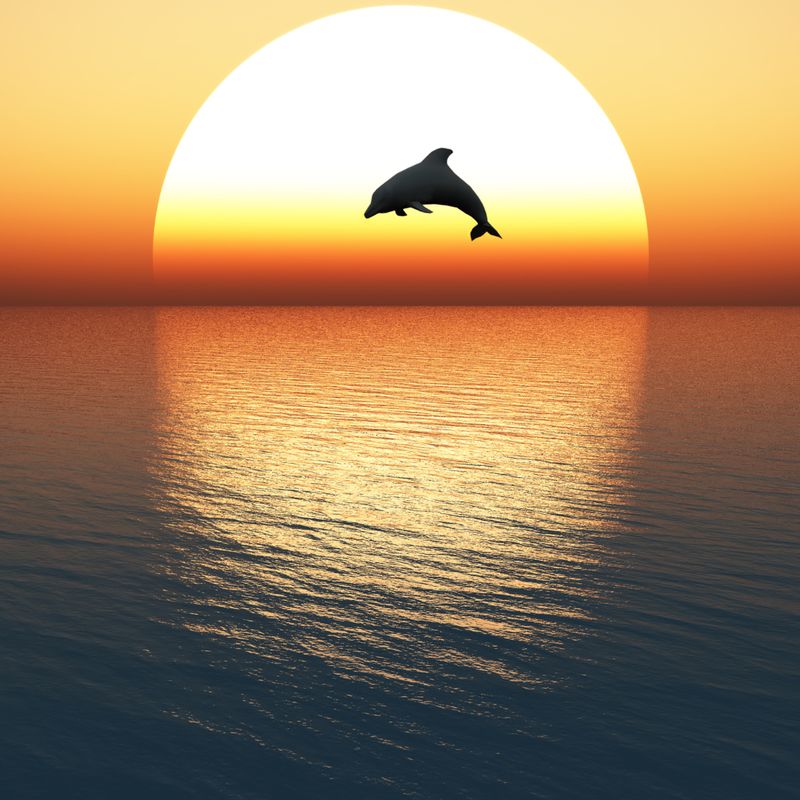 Lemurian Transformation - Gaby Solina Grill Mitterhofer & Ellen Dana Stamer - HANDBUCH IN DEUTSCHER SPRACHE