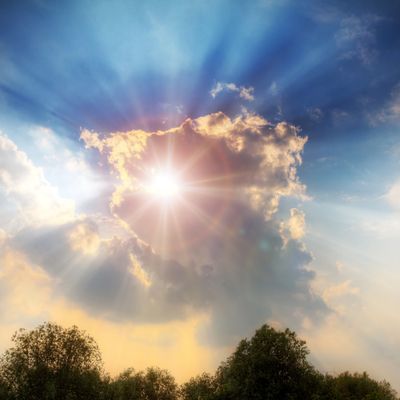 Gott in dir - In Gests of God - Ekaterina Fedosova - HANDBUCH IN DEUTSCHER SPRACHE