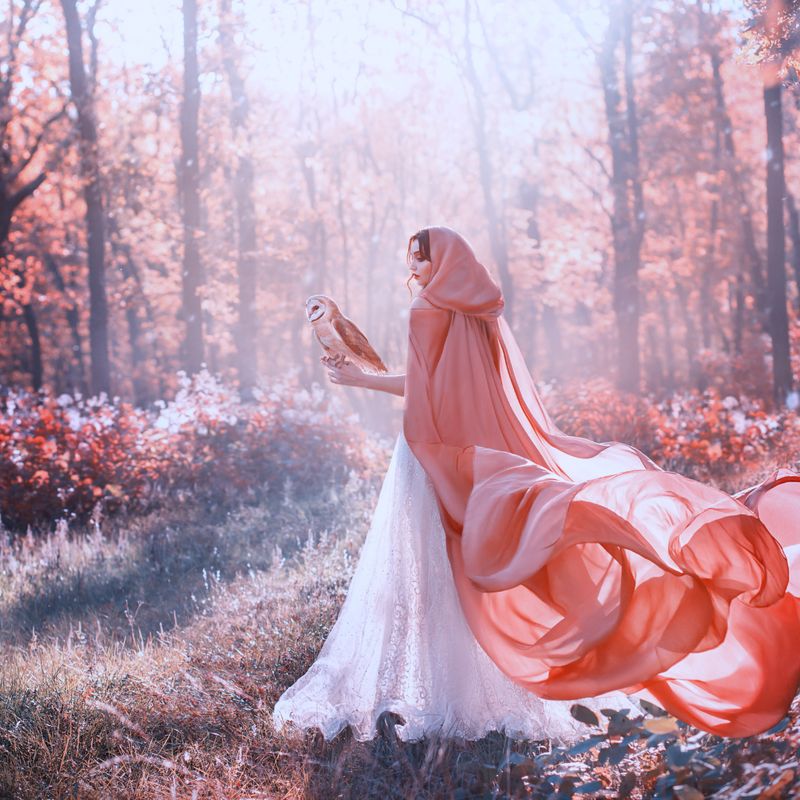 Ermächtigung der Alten Göttin  - Daelyn Wolf - Manual in English or in German