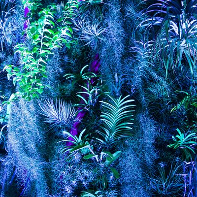 Aktivierung zum AVATAR - Chakren Frequenz Heiler - Fernausbildung - HANDBUCH IN DEUTSCHER SPRACHE