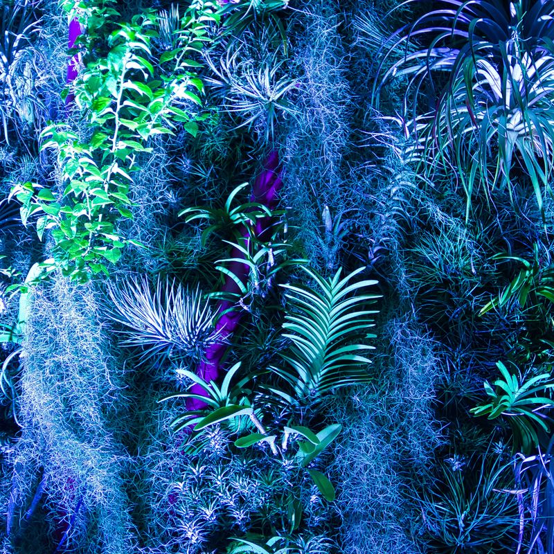 Aktivierung zum AVATAR - Chakren Frequenz Heiler - Fernausbildung - HANDBUCH IN DEUTSCHER SPRACHE