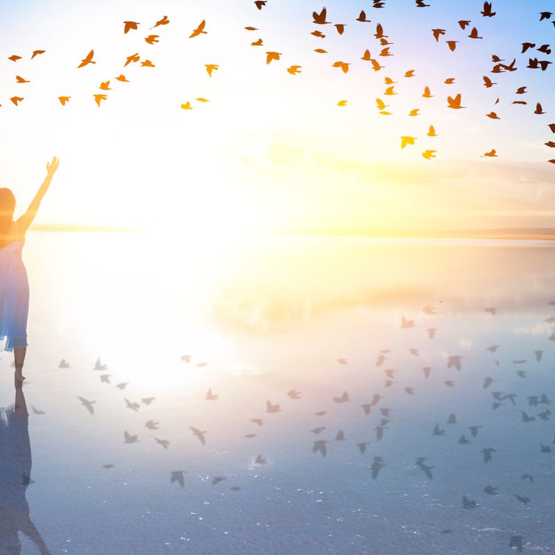 LAY'O'ESHA - Freiheit - Gaby Solina Grill-Mitterhofer - HANDBUCH IN DEUTSCHER SPRACHE LAY'O'ESHA - Freiheit - Gaby Solina Grill-Mitterhofer - HANDBUCH IN DEUTSCHER SPRACHE