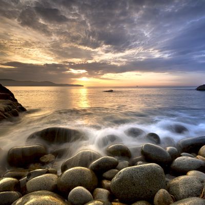 Nature's Vital Pulse  -  by Jalu Wasonoadi - 2023