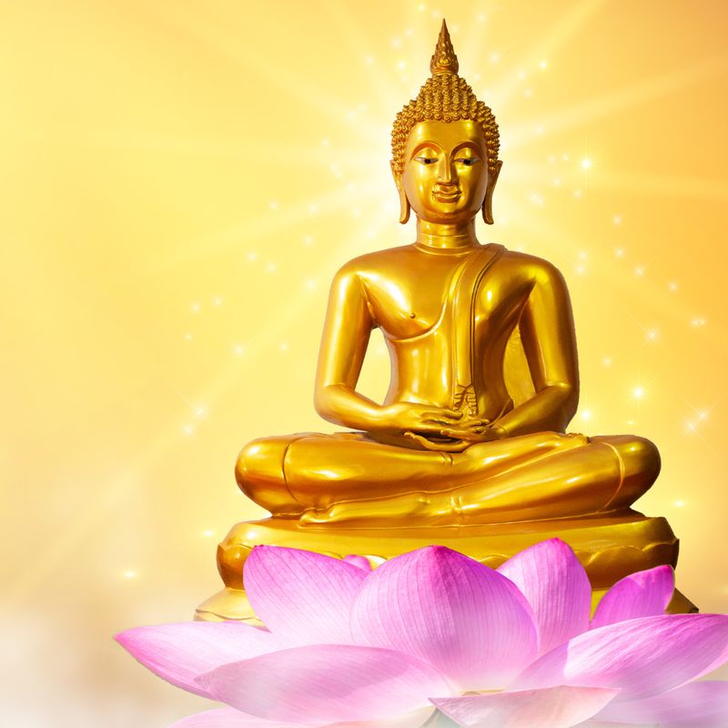 BUDDHA - INVITATION INTO THE CRYSTAL LIBRARIES - Gaby Solina Grill-Mitterhofer - HANDBUCH IN DEUTSCHER SPRACHE