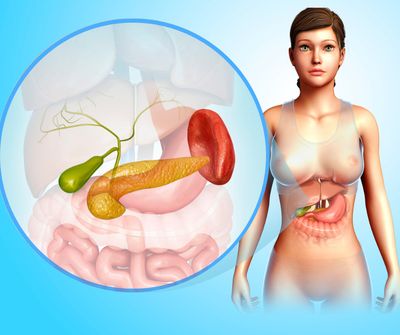 Bauchspeicheldrüse – Pflege und Regeneration – Rainer Marock & Nicola Wellhausen Bauchspeicheldrüse – Pflege und Regeneration – Rainer Marock & Nicola Wellhausen