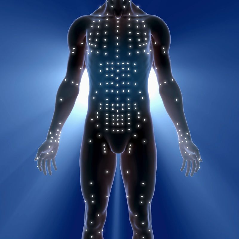 BESPRECHEN DER MERIDIANE - Martina Kenny - HANDBUCH IN DEUTSCHER SPRACHE