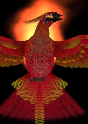 Phönix Feuer Essenz - Argandini Titisari Phönix Feuer Essenz - Argandini Titisari