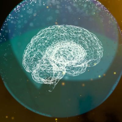 NEURO-AUSGLEICHENDE BEHANDLUNGS-ESSENZ - Argandini Titisari NEURO-AUSGLEICHENDE BEHANDLUNGS-ESSENZ - Argandini Titisari