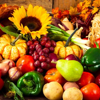 Die Engel des Erntens - Angelica Saerbeck - HANDBUCH IN DEUTSCHER SPRACHE