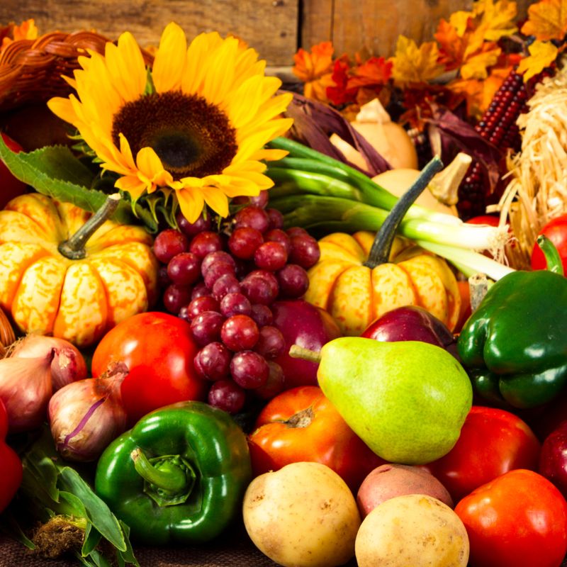 Die Engel des Erntens - Angelica Saerbeck - HANDBUCH IN DEUTSCHER SPRACHE