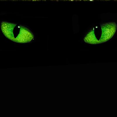 PODKLAD- ENERGIE ENTFERNUNG -  Manuela Fasoli - 2022