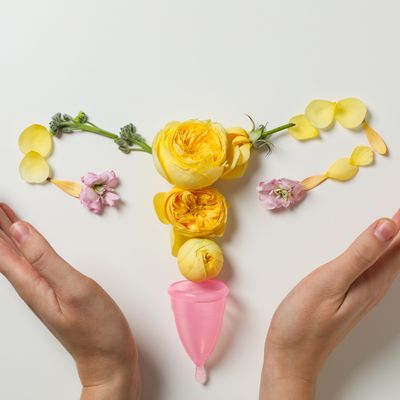 WOMB CARE - GEBÄRMUTTER CARE - Mariah Windsong-Couture - HANDBUCH IN DEUTSCHER SPRACHE