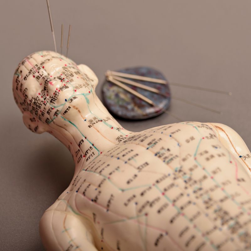 DREIFACHER ERWÄRMER MERIDIAN - Mariah Windsong-Couture - HANDBUCH IN DEUTSCHER SPRACHE DREIFACHER ERWÄRMER MERIDIAN - Mariah Windsong-Couture - HANDBUCH IN DEUTSCHER SPRACHE