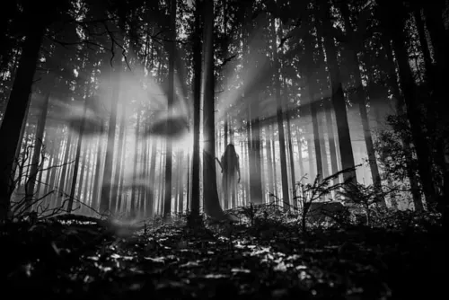 BESSH SCHUTZ ENERGIE - Manuela Fasoli - 2022 BESSH SCHUTZ ENERGIE - Manuela Fasoli - 2022