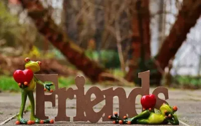 Freundschafts -Reparatur- Energie - Friendship Repair energy - MANUAL IN ENGLISH OR IN GERMAN Freundschafts -Reparatur- Energie - Friendship Repair energy - MANUAL IN ENGLISH OR IN GERMAN