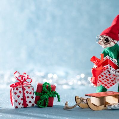 Elfengeld Reiki  - Elven Money Reiki - Ekaterina Fedosova -  HANDBUCH IN DEUTSCHER SPRACHE