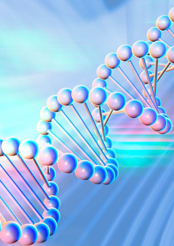 Die Aktivierung der DNA - Ausrichtung - Jay M. Burrell