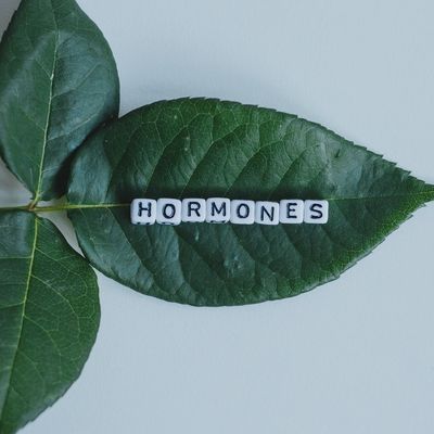 HORMONE CARE - Mariah Windsong-Couture - HANDBUCH IN DEUTSCHER SPRACHE