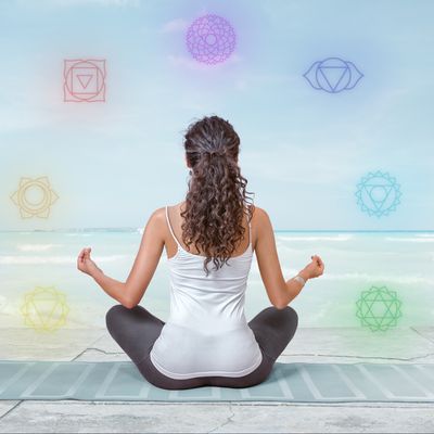 CHAKRA CARE MEISTER ( GRADE 1-3 ) - CHAKRA CARE MASTER - Mariah Windsong-Couture - HANDBUCH IN DEUTSCHER SPRACHE