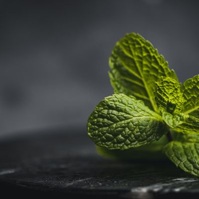 Minze und heilendes Menthol des Geldes - Moneys Mint and healing Menthol - Ekaterina Fedosova - HANDBUCH IN DEUTSCHER SPRACHE