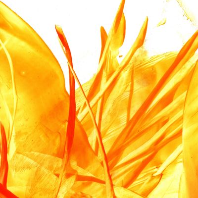 SEXUELLE QUANTEN ABSCHIRMUNGS MATRIX ​​​ -  KP. HARI ANDRI WINARSO WARTONAGORO - 2024 - MODERNES MAGISCHES SYSTEM