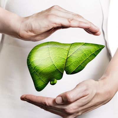 Leber Care - Mariah Windsong-Couture - HANDBUCH IN DEUTSCHER SPRACHE Leber Care - Mariah Windsong-Couture - HANDBUCH IN DEUTSCHER SPRACHE