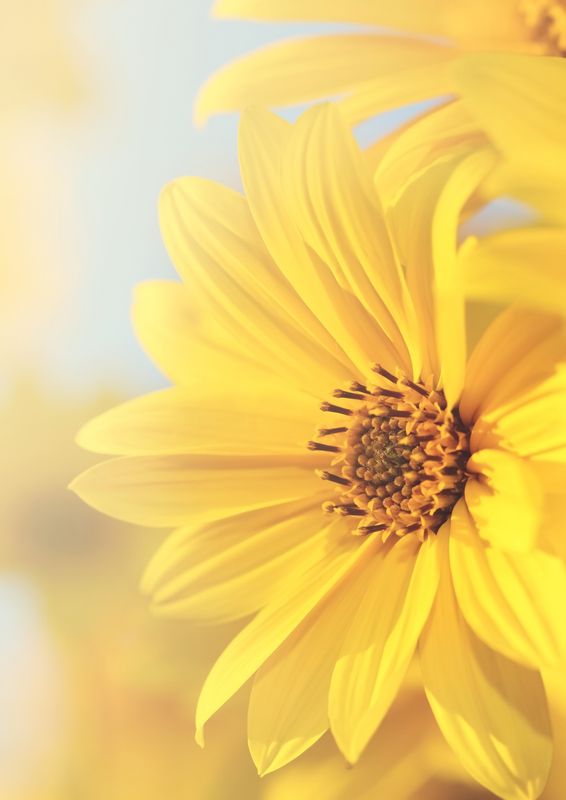 Beauty Care - by Argandini Titisari