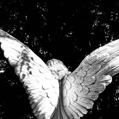 Erzengel Haniels Energien - Silvia Opali Dentler - HANDBUCH IN DEUTSCHER SPRACHE