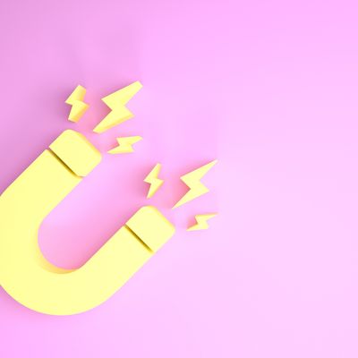 Der Magnet des Bewusstseins - Ekaterina Fedosova - HANDBUCH IN DEUTSCHER SPRACHE