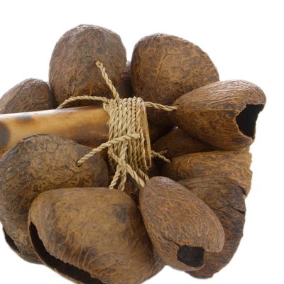 Schamanenrassel Reiki - Manuela Fasoli Schamanenrassel Reiki - Manuela Fasoli