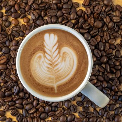 KOFFEIN ESSENZ - A.Z. Hannael - HANDBUCH IN DEUTSCHER SPRACHE