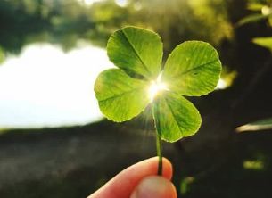 CZ Karte - Vierblättriges Kleeblatt - Mystische Essenz - Cuzco Artist Channeller ( Teresa Rubiolo)