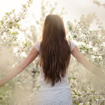 ERWACHEN deines wahren Selbst - Gaby Solina Grill-Mitterhofer - HANDBUCH IN DEUTSCHER SPRACHE