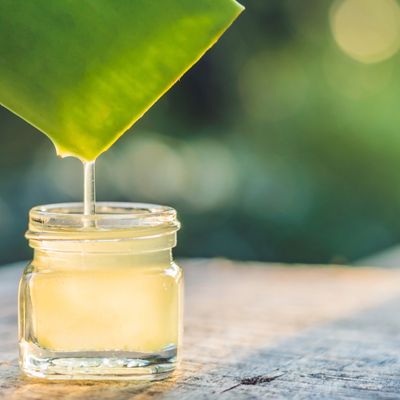 Ätherische Methylglyoxal (MGO) Essenz - Silvia Opali Dentler - HANDBUCH IN DEUTSCHER SPRACHE