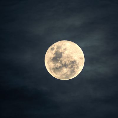 Magischer Mond Reiki - Magic Moon Reiki - Ekaterina Fedosova -   HANDBUCH IN DEUTSCHER SPRACHE