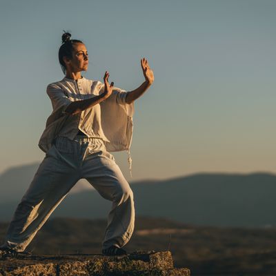 TAO CHI 999 - A.Z. Hannael - HANDBUCH IN DEUTSCHER SPRACHE TAO CHI 999 - A.Z. Hannael - HANDBUCH IN DEUTSCHER SPRACHE