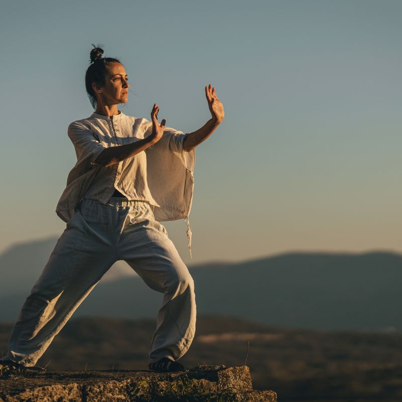 TAO CHI 999 - A.Z. Hannael - HANDBUCH IN DEUTSCHER SPRACHE TAO CHI 999 - A.Z. Hannael - HANDBUCH IN DEUTSCHER SPRACHE