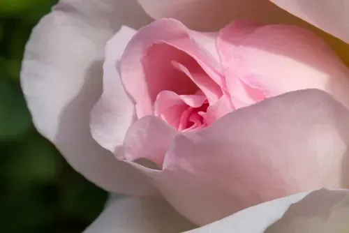 Won Ki Kung Master Attunements© - by Ramón Martínez López