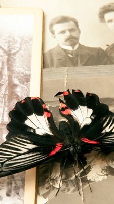 Goldener Strom der Ahnen - Bettina Bauch Goldener Strom der Ahnen - Bettina Bauch