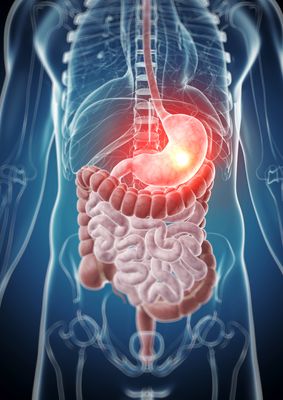 Holistische Heilung Magen-Reiki - Ekaterina Fedosova - 2023 - HANDBUCH IN DEUTSCHER SPRACHE