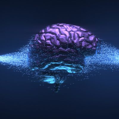 INTELLIGENZ ERWACHEN - Mariah Windsong-Couture - HANDBUCH IN DEUTSCHER SPRACHE