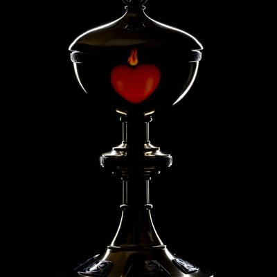 Heiliger Kelch von Shamballa - Gaby Solina Grill-Mitterhofer - HANDBUCH IN DEUTSCHER SPRACHE