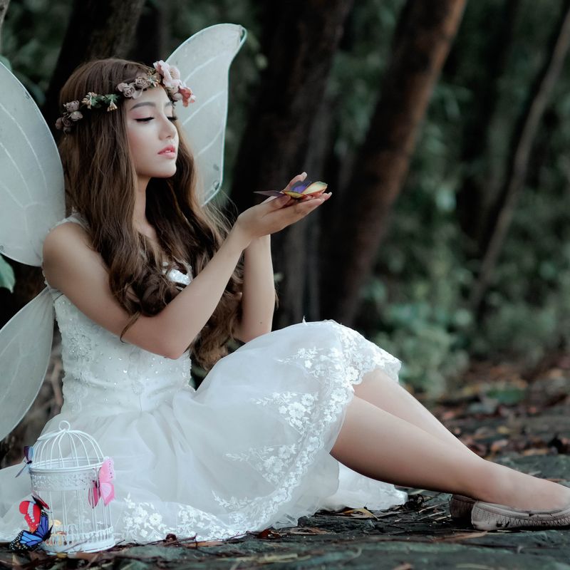 FEEN LICHT REIKI - Stephanie Brail