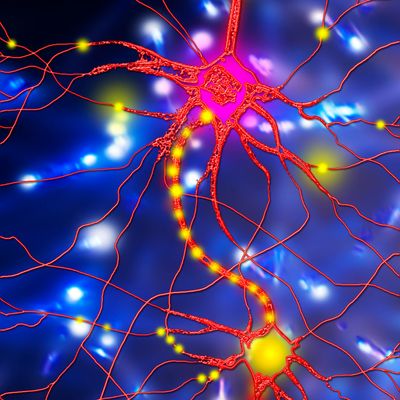 NERVE REJUVENATION MAINTENANCE ATTUNEMENT  - by Hari Andri Winarso - 2023