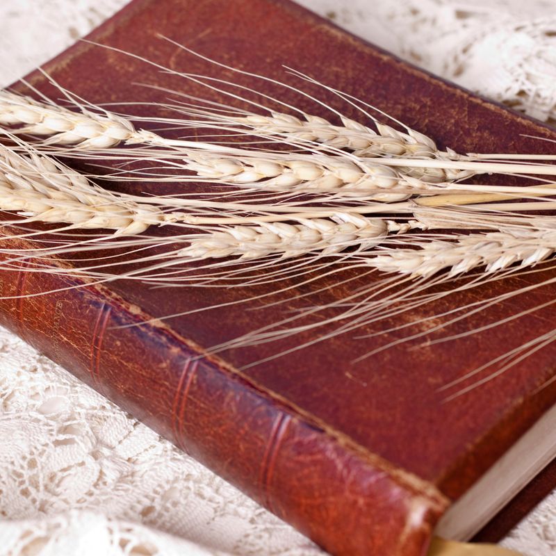 DER SEGEN DER AKASHA - CHRONIK - Angelica Saerbeck - HANDBUCH IN DEUTSCHER SPRACHE