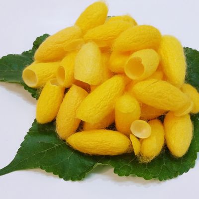 LOVE COCOONS - Ole Gabrielsen - HANDBUCH IN DEUTSCHER SPRACHE