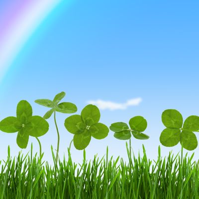 Magikal powder of fame and luck  - by Manuela Fasoli - 2024